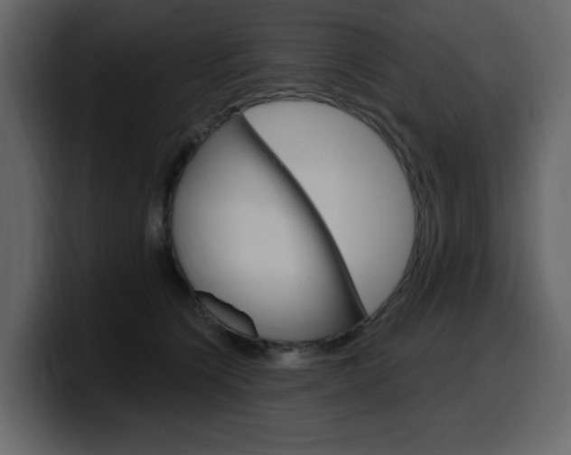 X0000099580564200805160748