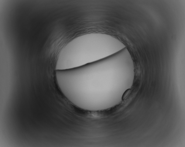 X0000099580565200805160748