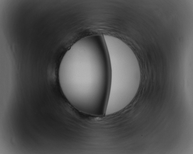 X0000099580566200805160748