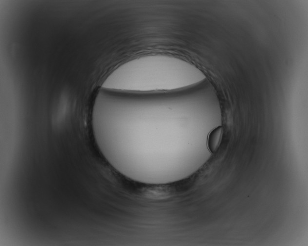 X0000099580567200805160748