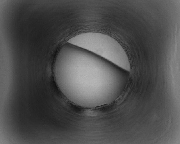 X0000099580568200805160748