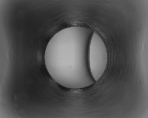 X0000099580569200805160748
