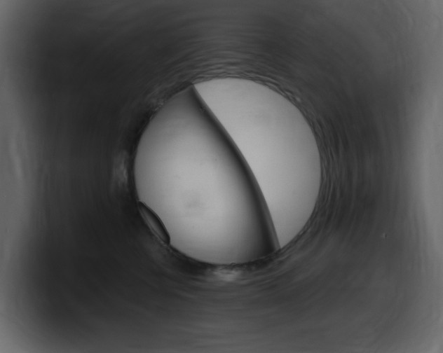 X0000099580570200805160748