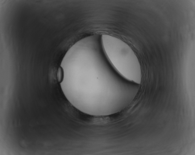 X0000099580571200805160748