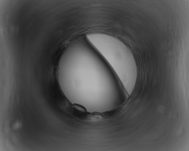 X0000099580572200805160748