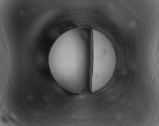 X0000099580574200805160748