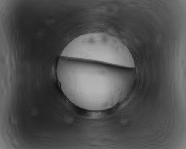 X0000099580575200805160748