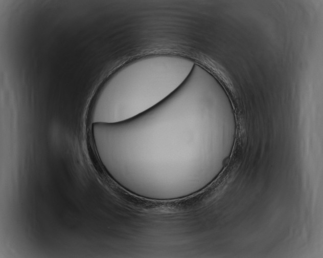 X0000099580578200805160748