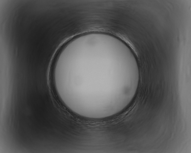 X0000099580579200805160748