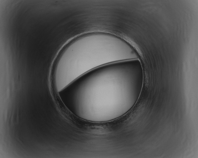 X0000099580580200805160748