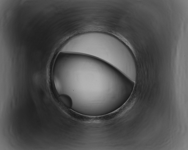 X0000099580581200805160748