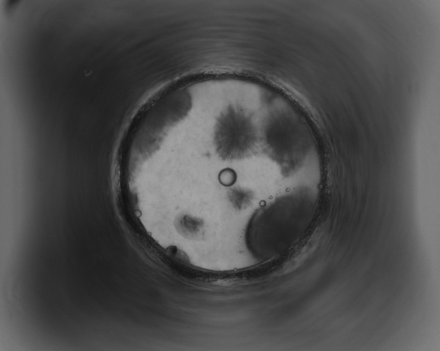 X0000099580584200805160748