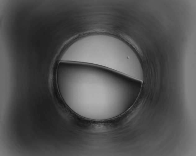 X0000099580588200805160748