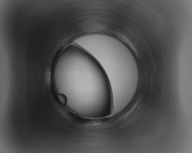 X0000099580589200805160747