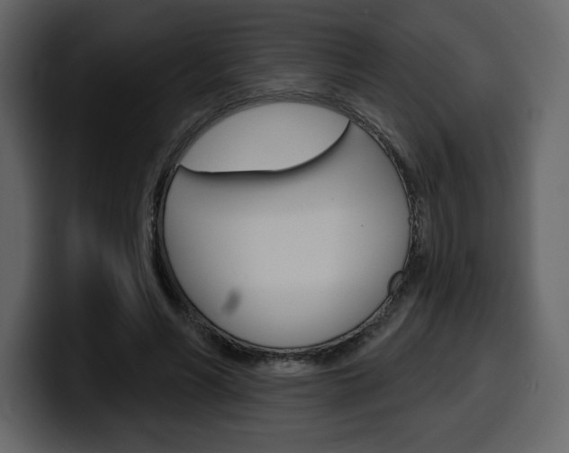 X0000099580590200805160747