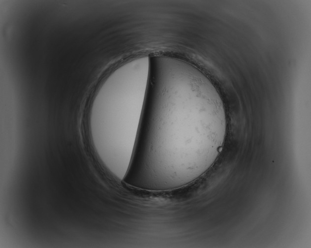 X0000099580592200805160747