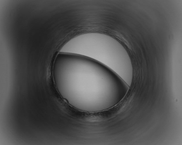 X0000099580593200805160747