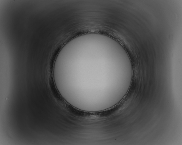 X0000099580594200805160747