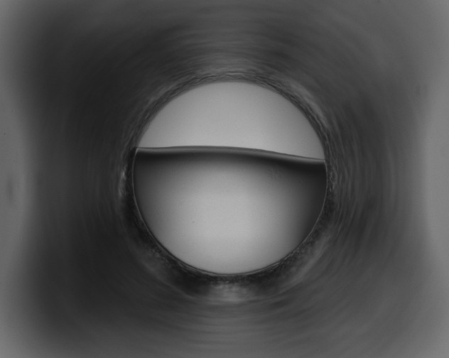 X0000099580596200805160747