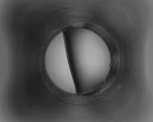 X0000099580600200805160747