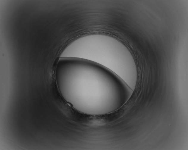 X0000099580601200805160747