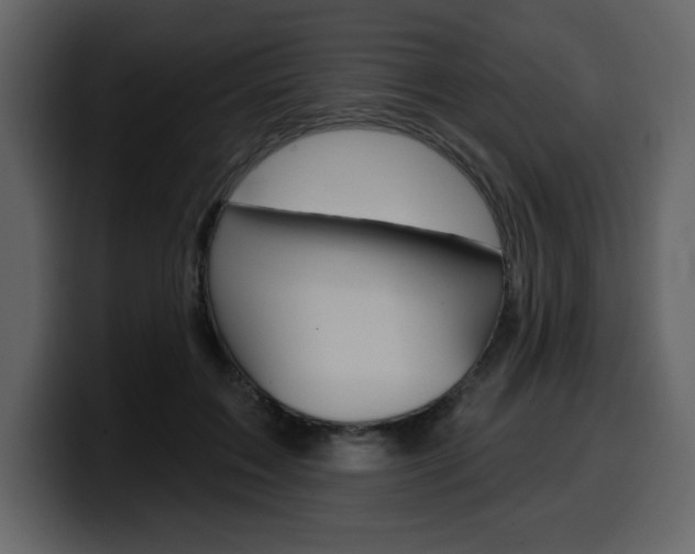 X0000099580603200805160747