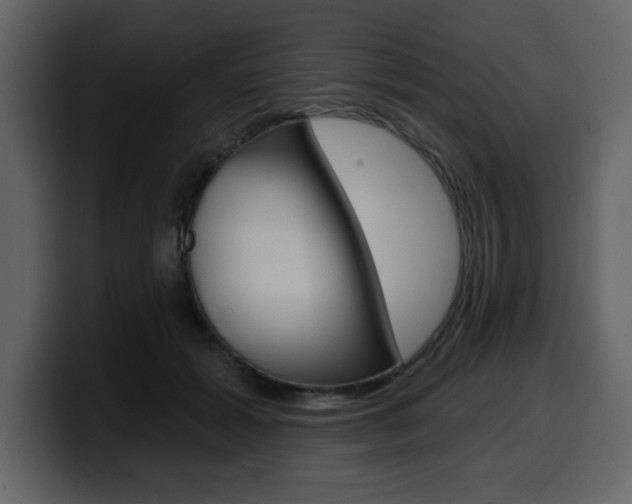 X0000099580605200805160747