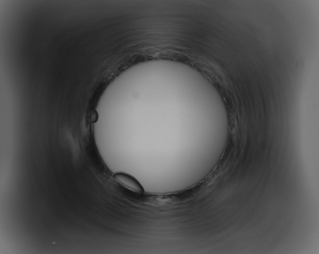 X0000099580607200805160747