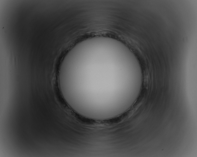 X0000099580608200805160747