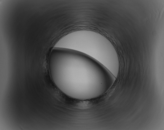 X0000099580609200805160747