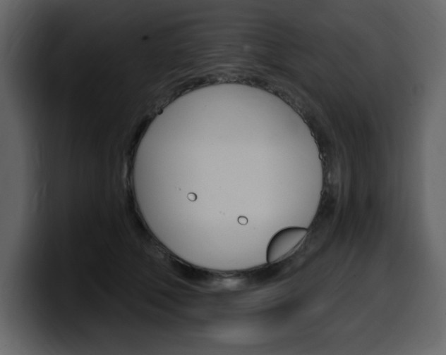 X0000099580610200805160747