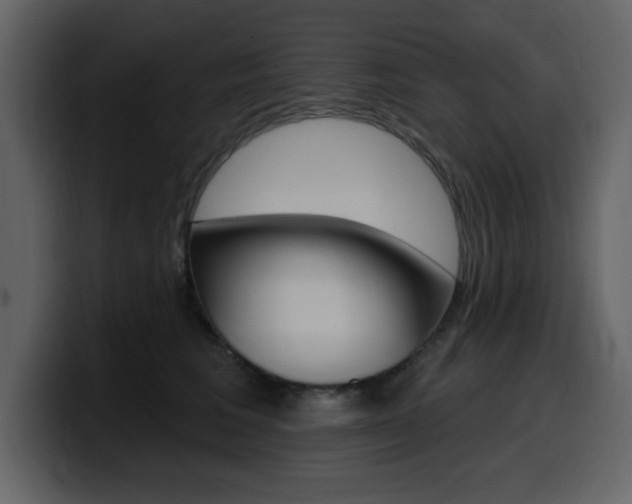 X0000099580613200805160747