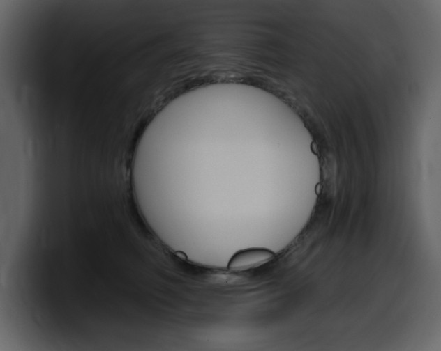 X0000099580614200805160747
