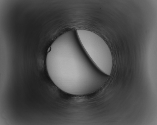 X0000099580615200805160747