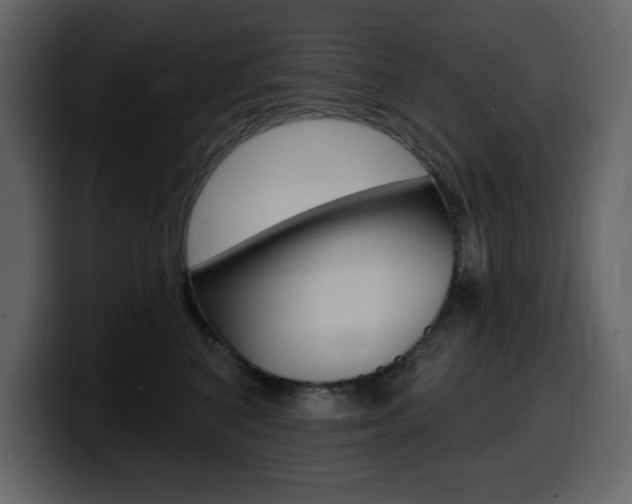 X0000099580616200805160747