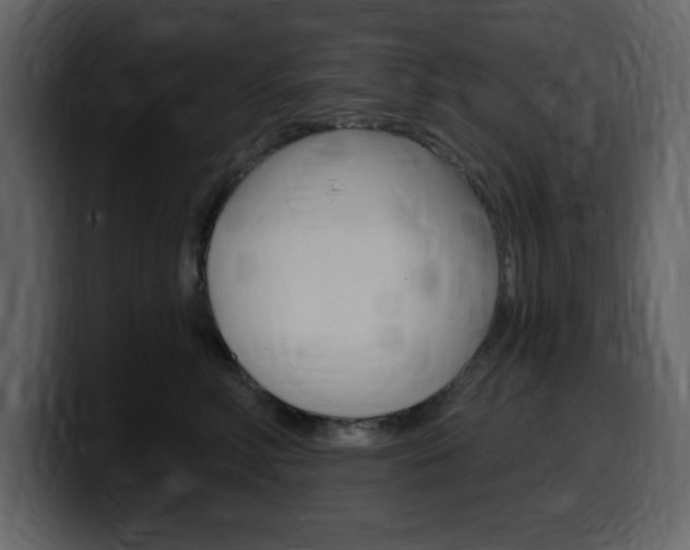 X0000099580618200805160747