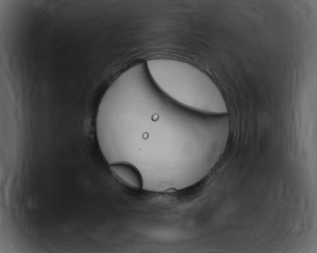 X0000099580619200805160747