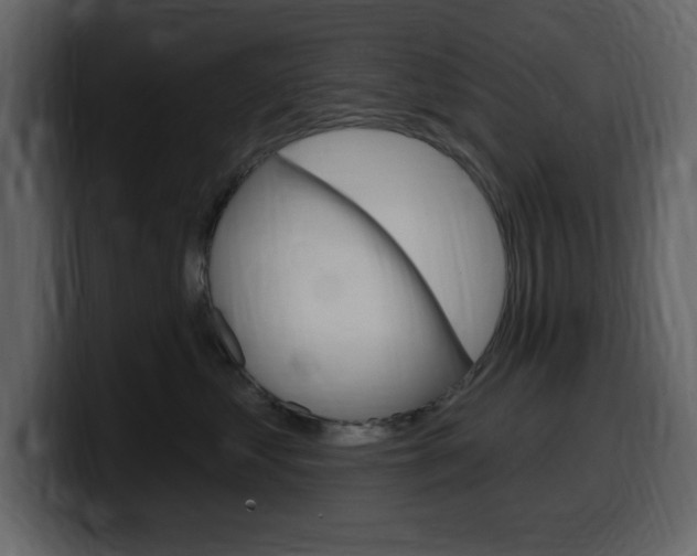 X0000099580621200805160747