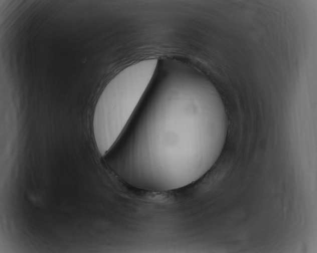 X0000099580624200805160747