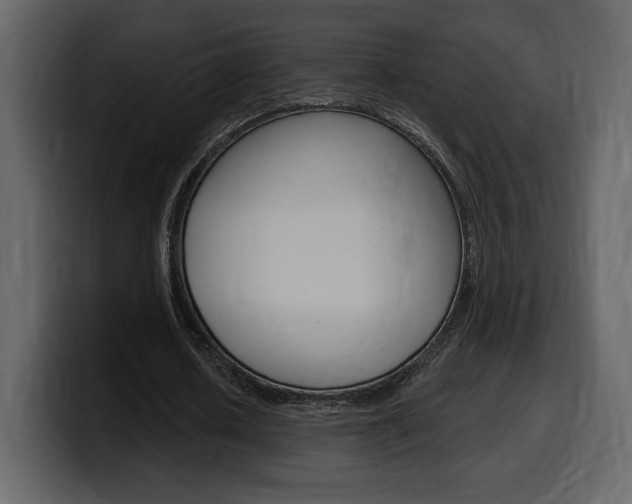 X0000099580626200805160746