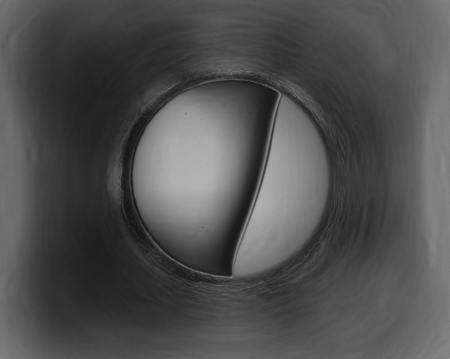X0000099580627200805160746