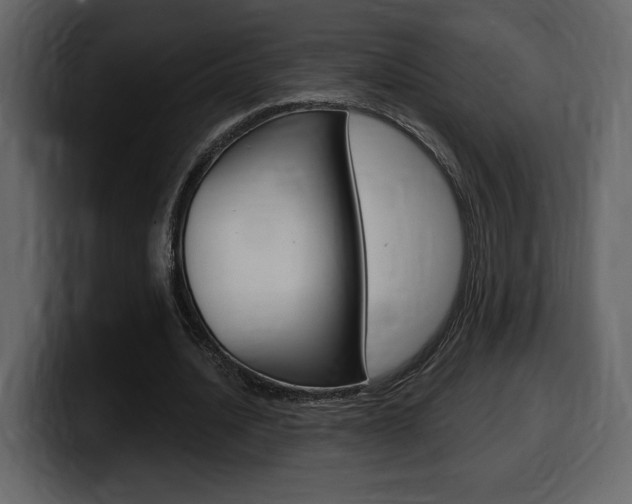 X0000099580628200805160746