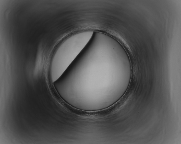 X0000099580629200805160746