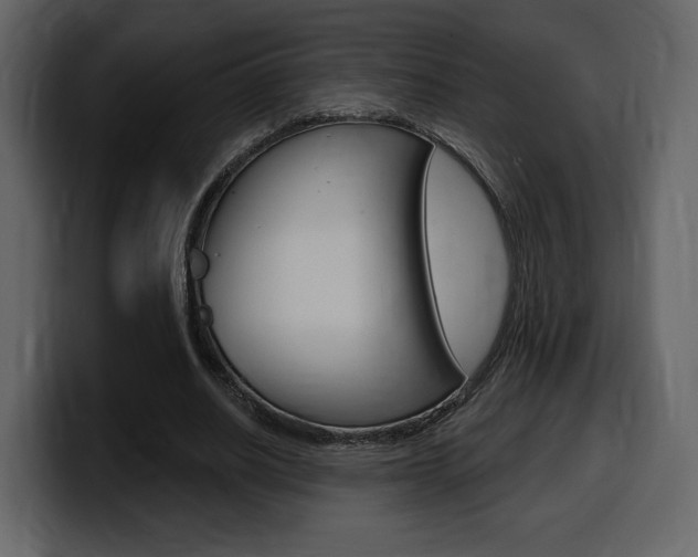 X0000099580630200805160746