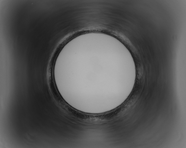 X0000099580632200805160747