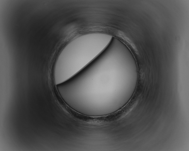 X0000099580633200805160747