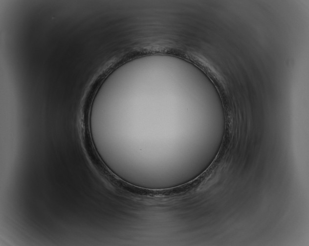 X0000099580634200805160747