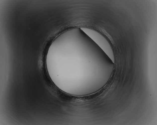 X0000099580635200805160747