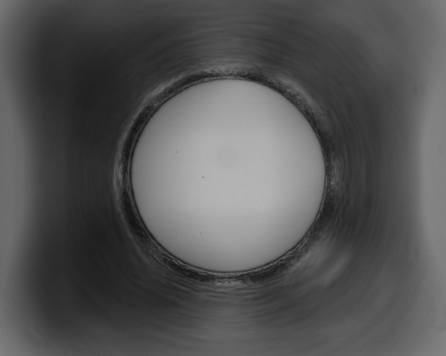 X0000099580636200805160747