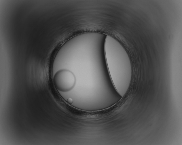 X0000099580638200805160747